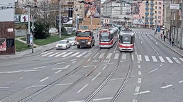 Biely čierny pasažier. Neverili by ste, ako sa dá ísť v MHD zadarmo 