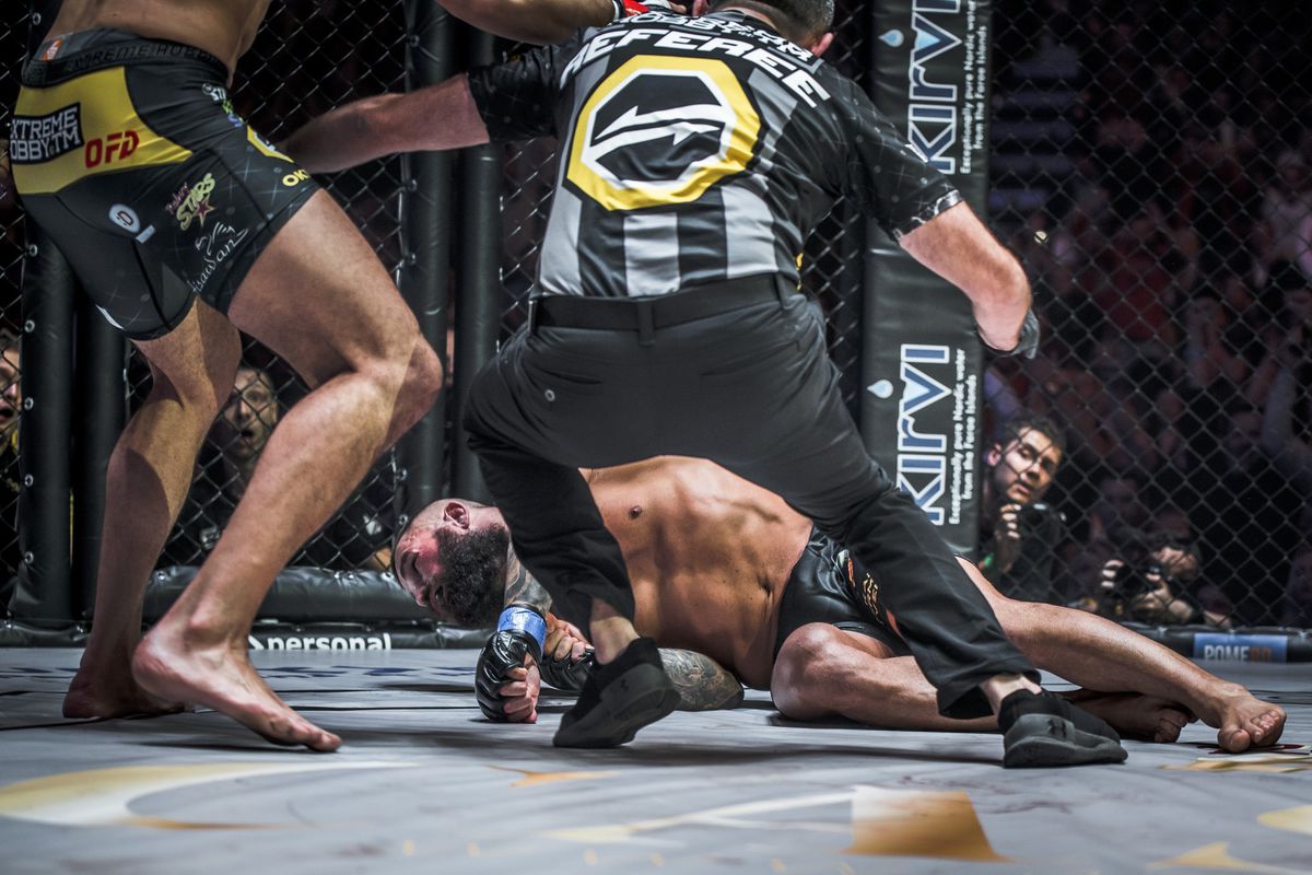 Český bojovník MMA Karlos Vémola po knokaute...