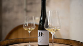 Tip pre vínnych turistov: Objavte tekutý poklad z Vinosadov   