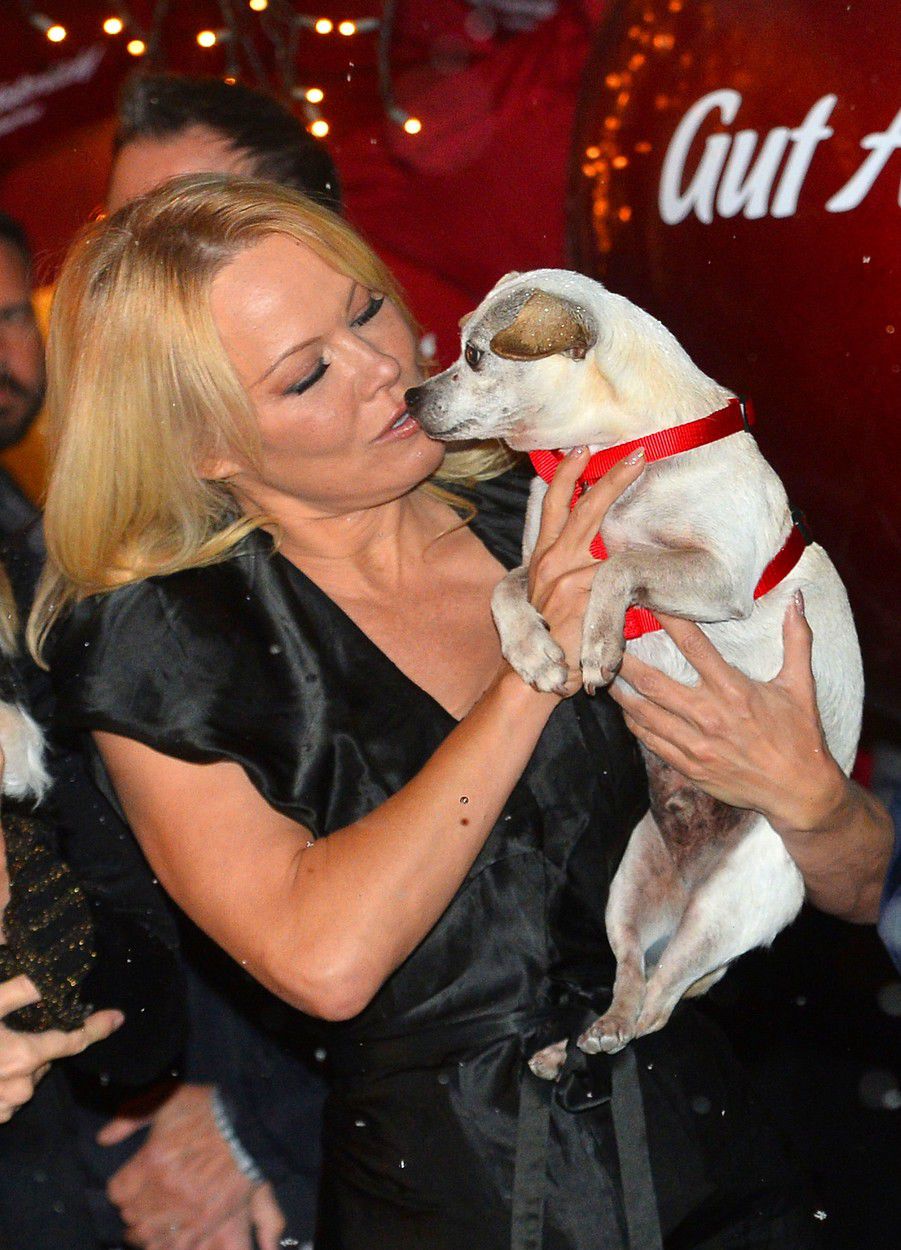 Pamela Anderson v rakúskom Henndorfe na...