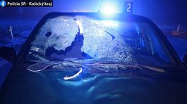 Pri dopravných nehodách na východe Slovenska prišli o život vodič a chodec