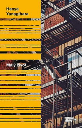 Hanya Yanagihara: Malý život