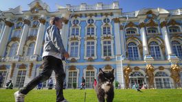 Katarínsky palác, Neuschwanstein, sídlo Drakulu: 21 hradov a palácov núka prehliadky