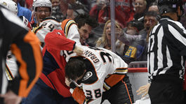 NHL rozvášnila šialená bitka. Hathaway dostal za pľuvanec dodatočný trest