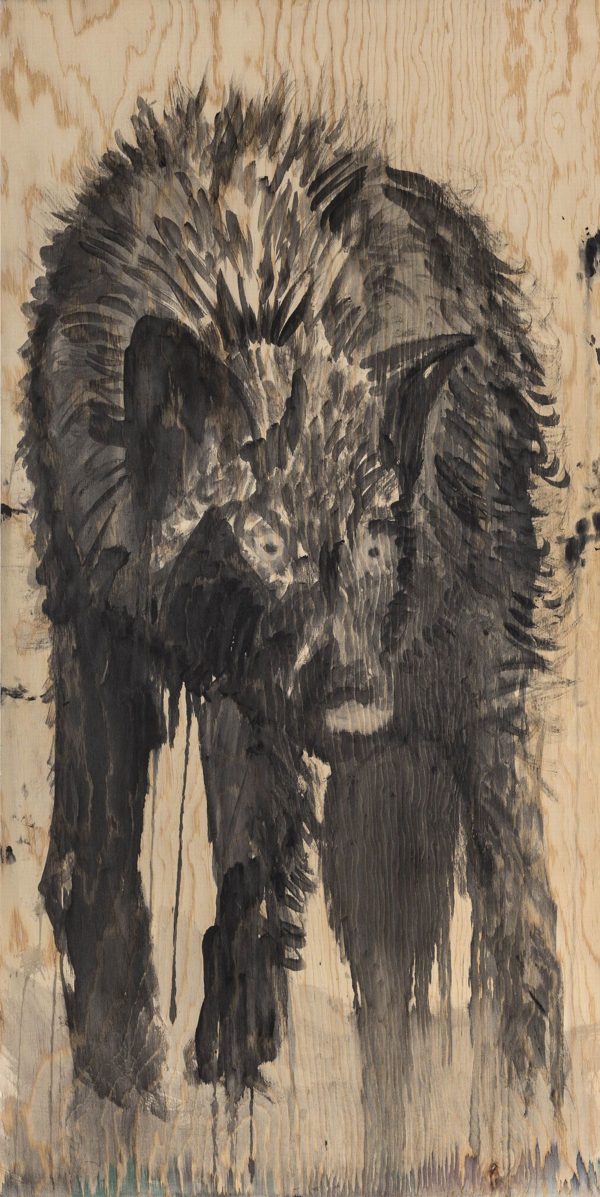 Vlk z cyklu Kärnten Spirit, 2018.