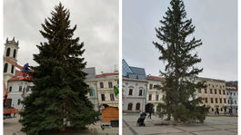 Vianočná groteska: V Banskej Bystrici menili vianočné stromčeky