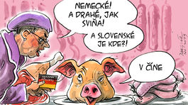 Danglár, 30.11.2019