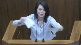 Rozprava: Kamenický pred prázdnou sálou, Cigániková trhala rozpočet