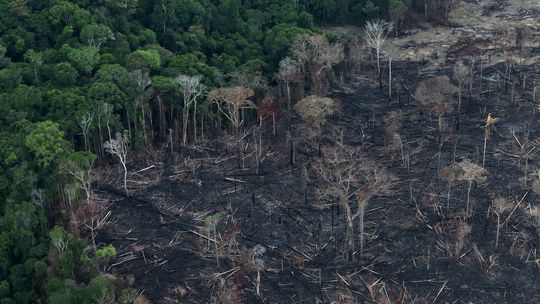 Brazílsky prezident obvinil DiCapria z financovania podpaľačstva v Amazónii