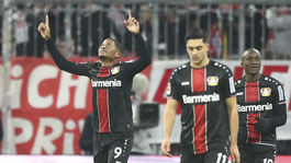 Pomohol jednookému Bratislavčanovi. Baileyho nezastavil smrad ani únos