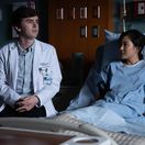 the good doctor, dobrý doktor, freddie highmore,