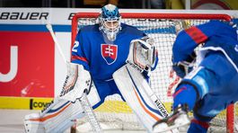 V nominácii Olympijského tímu SR je aj ruský rodák Fominych