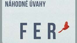 Elena Ferrante: Náhodné úvahy - náhodné ako život 