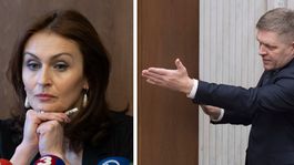 Kalavská: Demisiu som podala hlavne pre exponované vyjadrenia Fica 