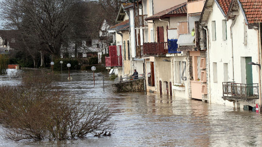 Prudký vietor a dažde si vo Francúzsku vyžiadali jednu obeť a päť zranených