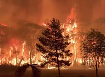 austrália, lesný požiar