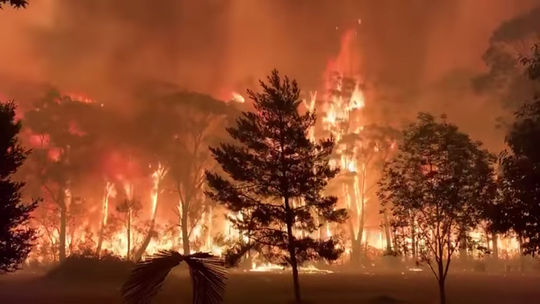 Pri požiaroch v Austrálii zasahujú tisíce hasičov, situáciu komplikuje vietor