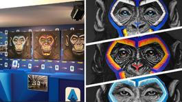 Všetci sme opice. Kampaň Serie A označili za zlý vtip