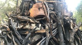 V Sydney stojí desivý vianočný stromček, pripomína lesné požiare