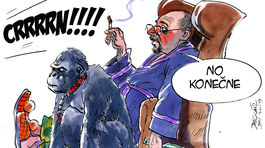 Danglár, 19.12.2019