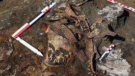 VIDEO: V Rusku odkryli hrobku troch generácií "amazoniek"