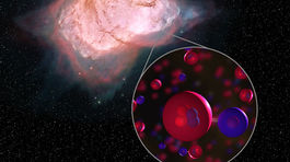 NASA v máji vyšle na ISS prvú posádku na rakete spoločnosti SpaceX