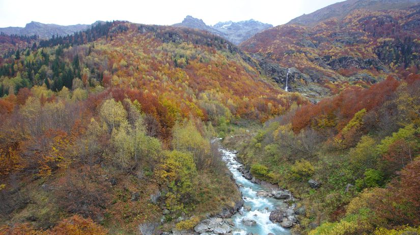 Exteriér gruzínskych lesov