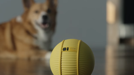 Samsung predstavil osobného robota, ktorý je svojmu pánovi stále v pätách