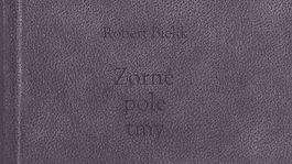 Robert Bielik: Zorné pole tmy