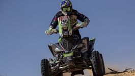 Obojživelník miluje piesok. Už jeho kočík poháňal motor