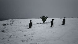 Dokumentárny film FREM otvára úvahy o klimatickej kríze. Uvedú ho na Berlinale