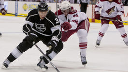 Menovec legendy. Obranu Trenčína vystuží kanadský obor