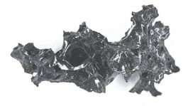 Výbuch Vezuvu zmenil mozog obete na sklo