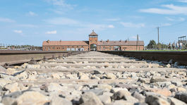  Milenci z Auschwitzu