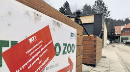 Ako vyzerá karanténa bojnickej zoo? 