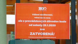 V bojnickej zoo potvrdili vtáčiu chrípku u štyroch uhynutých jedincov