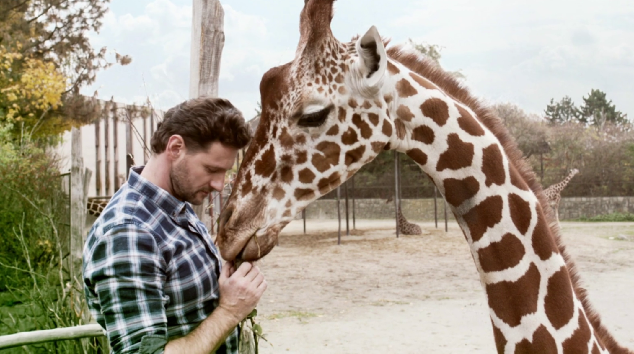 Marko Igonda v seriáli ZOO stvárnil...