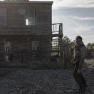 walking dead, zombie, zombík,