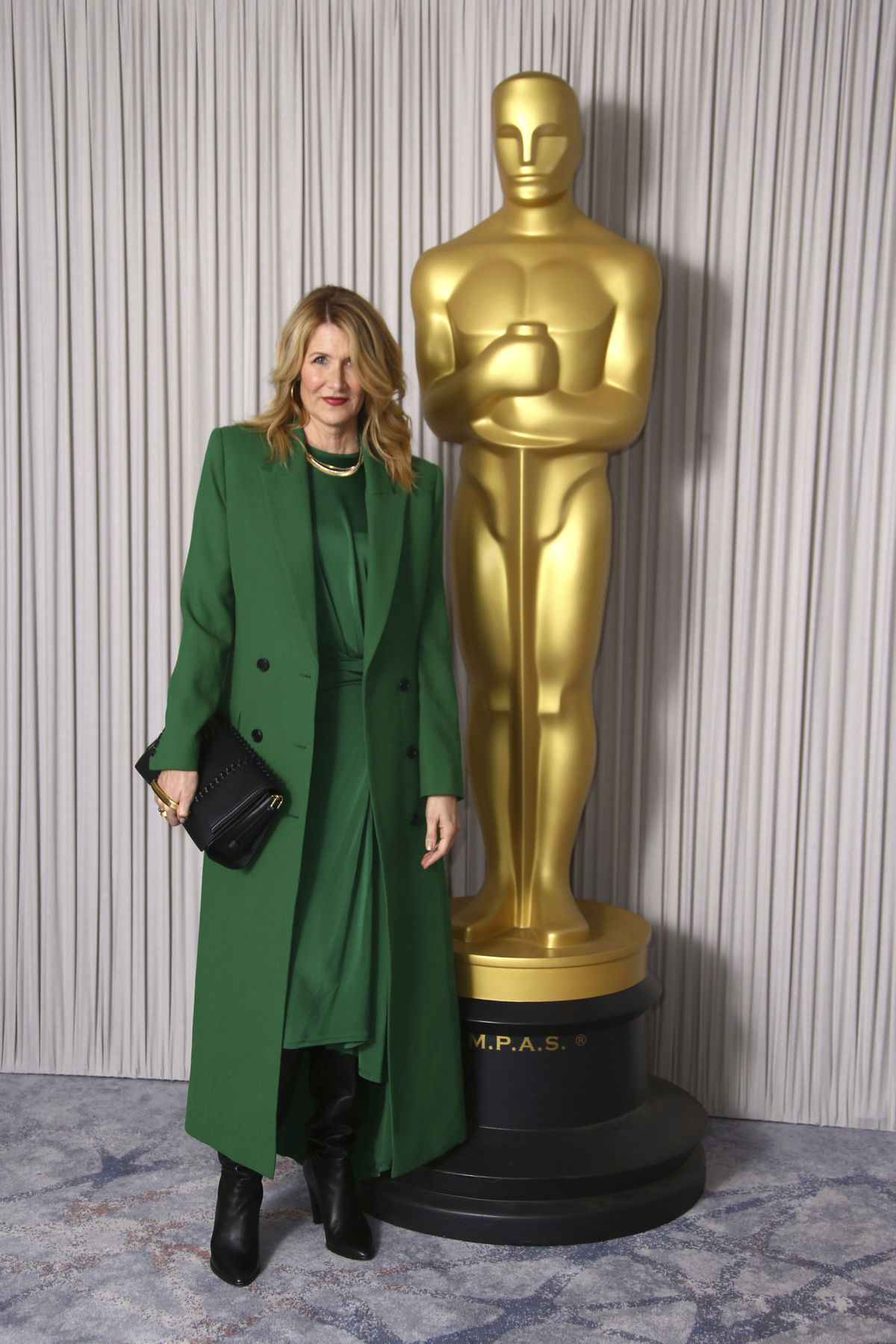 Herečka Laura Dern na akcii Academy Nominees...
