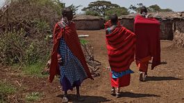 Masajovia Keňa Afrika