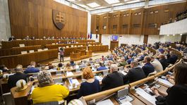 Opoziční poslanci z DS podržali Smer a SNS