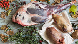 Tipy, triky, nápady: Podoby lesného mäsa na tanieri