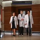 the good doctor, dobrý doktor, freddie Highmore,