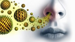 Alergia - prehnaná reakcia imunitného systému