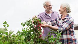 Zdravotne znevýhodnení ľudia: Príspevky dostáva viac ako 200-tisíc