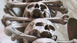 Koronavírus vyvoláva prízraky dávnej minulosti