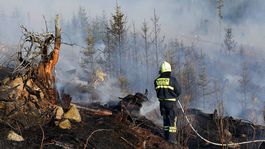 Nad Tatranskou Štrbou horí mladý les