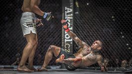 GLOSA: Človek ako na tanieri