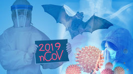 Takto ste koronavírus ešte nevideli: Pozrite si 3D animáciu