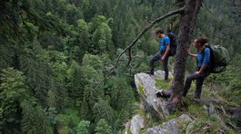 Nerobiť v lese nič znamená zachrániť všetko?